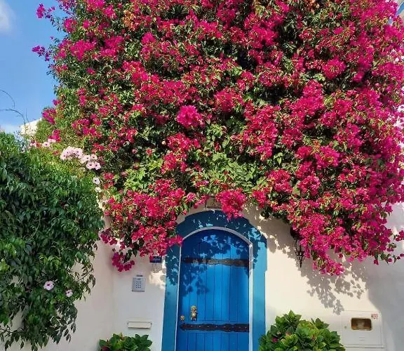 Casa Do アパート *